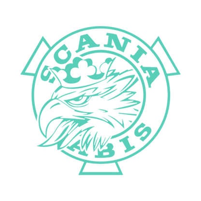 Sticker scania griff - 055 Mint - KJoF - 100mm x 93mm - Ja tak