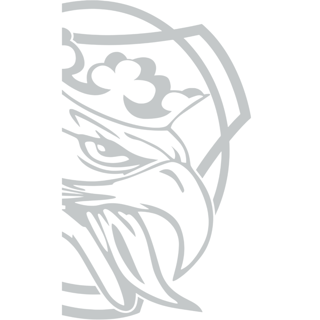 Sticker scania griff king - 072 Lysegrå - KJoF - 100mm x 168mm - Nej tak